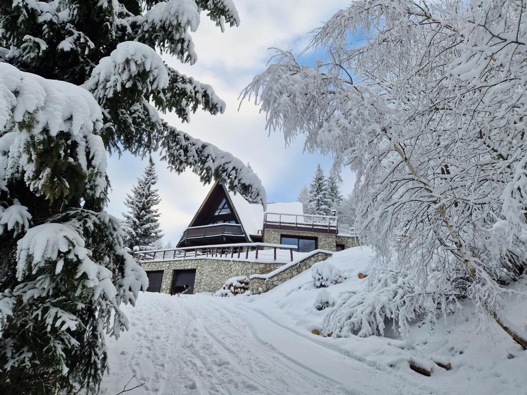 Le Chalet Pointu De Capucine Bourg-Saint-Maurice Bagian luar foto